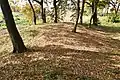 後円部から前方部を望む