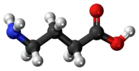 GABA molecule{{{画像alt1}}}
