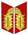 将官の襟章。