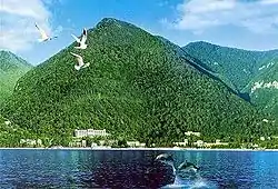 黒海から望むガグラの町