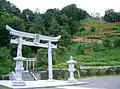 緋袍大明神
