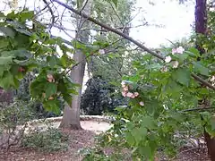 全体（手前）