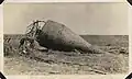 ハリケーン&nbsp;(1915 Galveston Hurricane)&nbsp;襲来後、テキサス市近郊に打ち揚げられた浮標