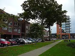 市庁舎