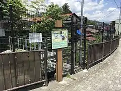 上部