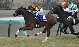 有馬記念