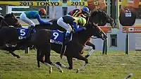 ジャパンカップ