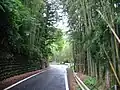 岐阜県側の隘路。大型車通行止となっている。