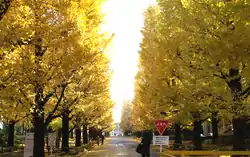 慶應義塾大学日吉キャンパス(日吉駅前)