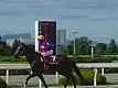園田競馬場(地方)