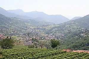 フォレスト・スパルソの風景