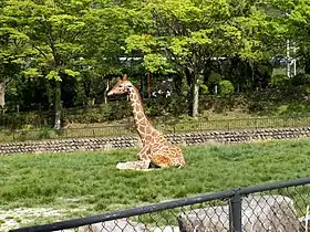 広島市安佐動物公園