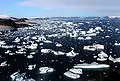 ヨーク岬の氷河と氷山