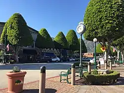 ダウンタウン