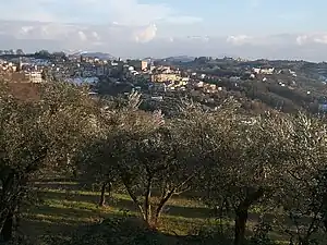 ポッジョ・ミルテートの風景