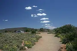 放射状積雲