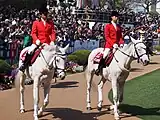 中山競馬場(ゴーイングベルとダンサーズナカヤマ)