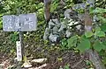 濃昼峠