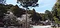 雲海の浄土
