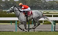 第61回優勝馬ゴールドシップ（鞍上：内田博幸）
