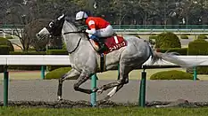 第62回優勝馬ゴールドシップ（鞍上：岩田康誠）