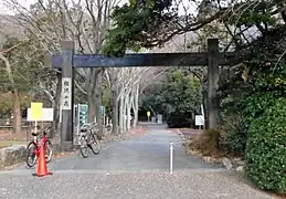権現の森（2017年1月）