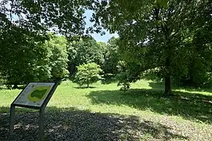 権現山古墳の全景