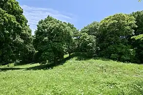 前方部