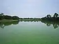 五料沼