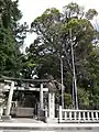 鳥居と「五所神社の楠」
