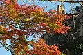 紅葉と奇岩