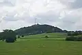 グリューナー・ハイナー