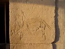 犬の絵の落書きが彫られた石壁。夕方近くの光に照らされている