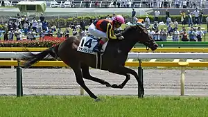 新馬戦