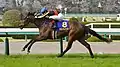 2019年優勝馬グランアレグリア