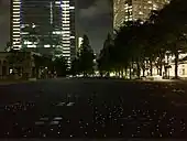 夜光海ペーブ（2017年5月26日）※画像はクリックで拡大可