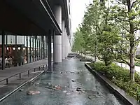 北館から南館を貫くケヤキ並木
