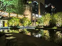 The Garden