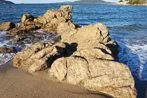 長垂の含紅雲母ペグマタイト岩脈。