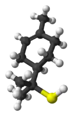 分子模型