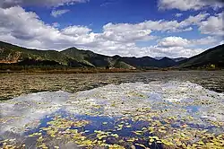 瀘沽湖南東部の草海