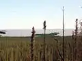 ノーザン湾