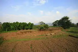 遺跡上