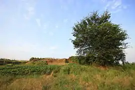 社山頭遺跡