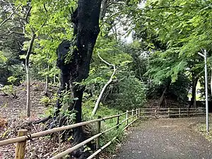 千葉県市川市にある弘法寺古墳全体