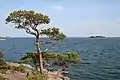グルクロナ(英語版)に属する外群島の岩がちな島