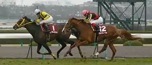 2012年阪神大賞典