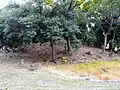 円墳墳丘裾の石積みは、公園整備時に整備されたもの。