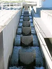 越流式（アイスハーバー式）魚道（埼玉県利根川利根大堰）