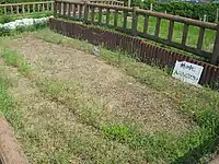 粘土槨(復元模型)